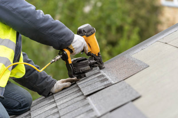 Best Siding Services  in USA